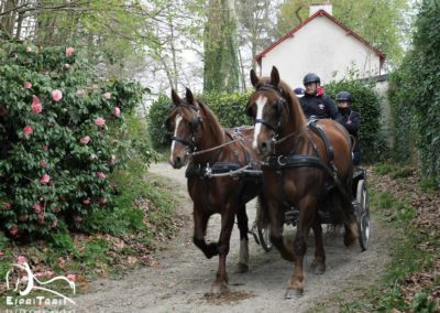 Equipe Bretonne