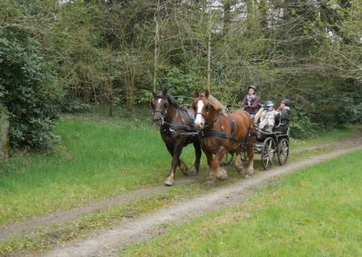 Equipe Bretonne