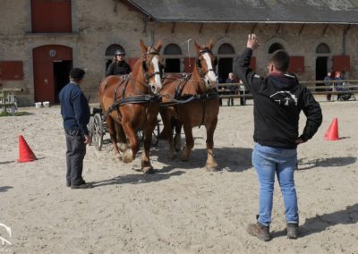 Equipe Bretonne